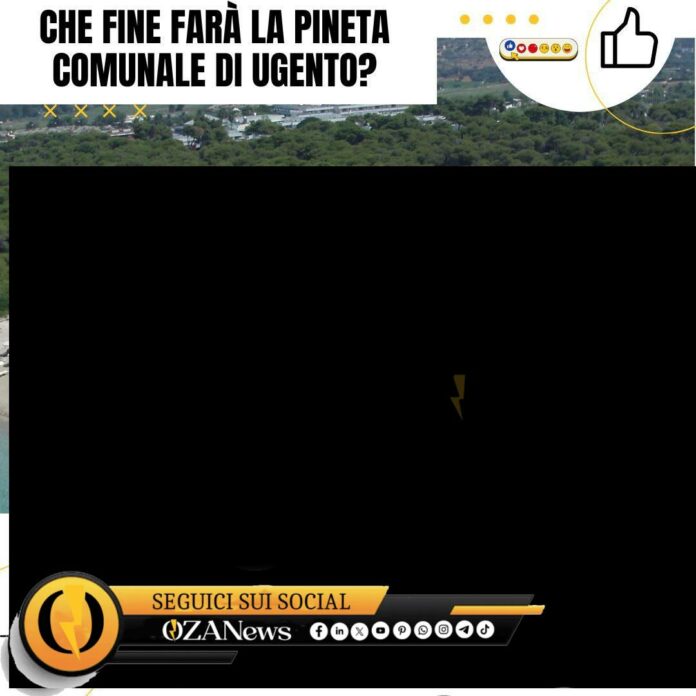 Ugento's pineta comunale (pine forest) overlooks a beach with umbrellas and people.