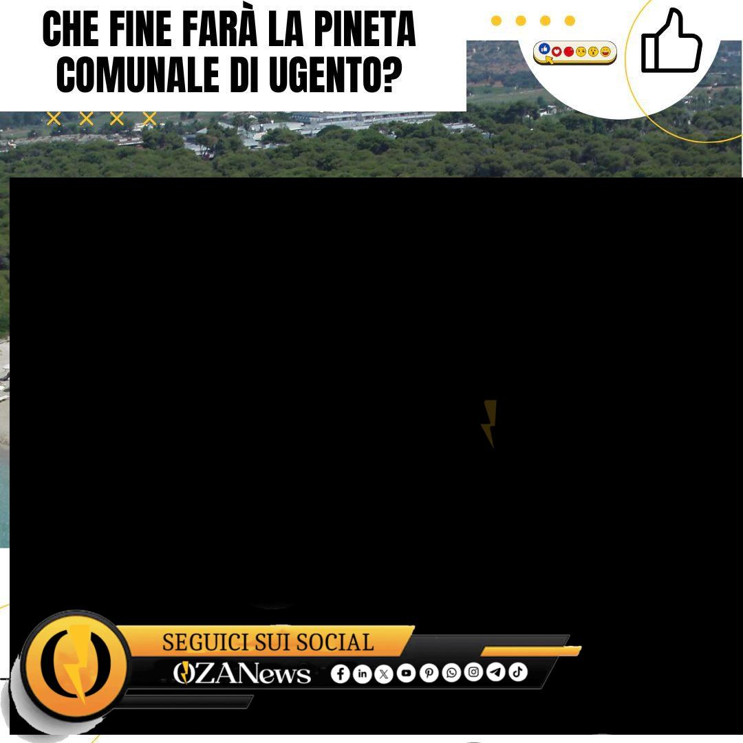 Che fine farà la pineta comunale di Ugento? Ugento's pineta comunale (pine forest) overlooks a beach with umbrellas and people.