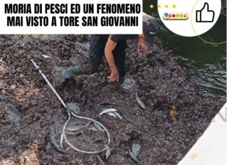 Moria di pesci ed un fenomeno mai visto a Tore San Giovanni