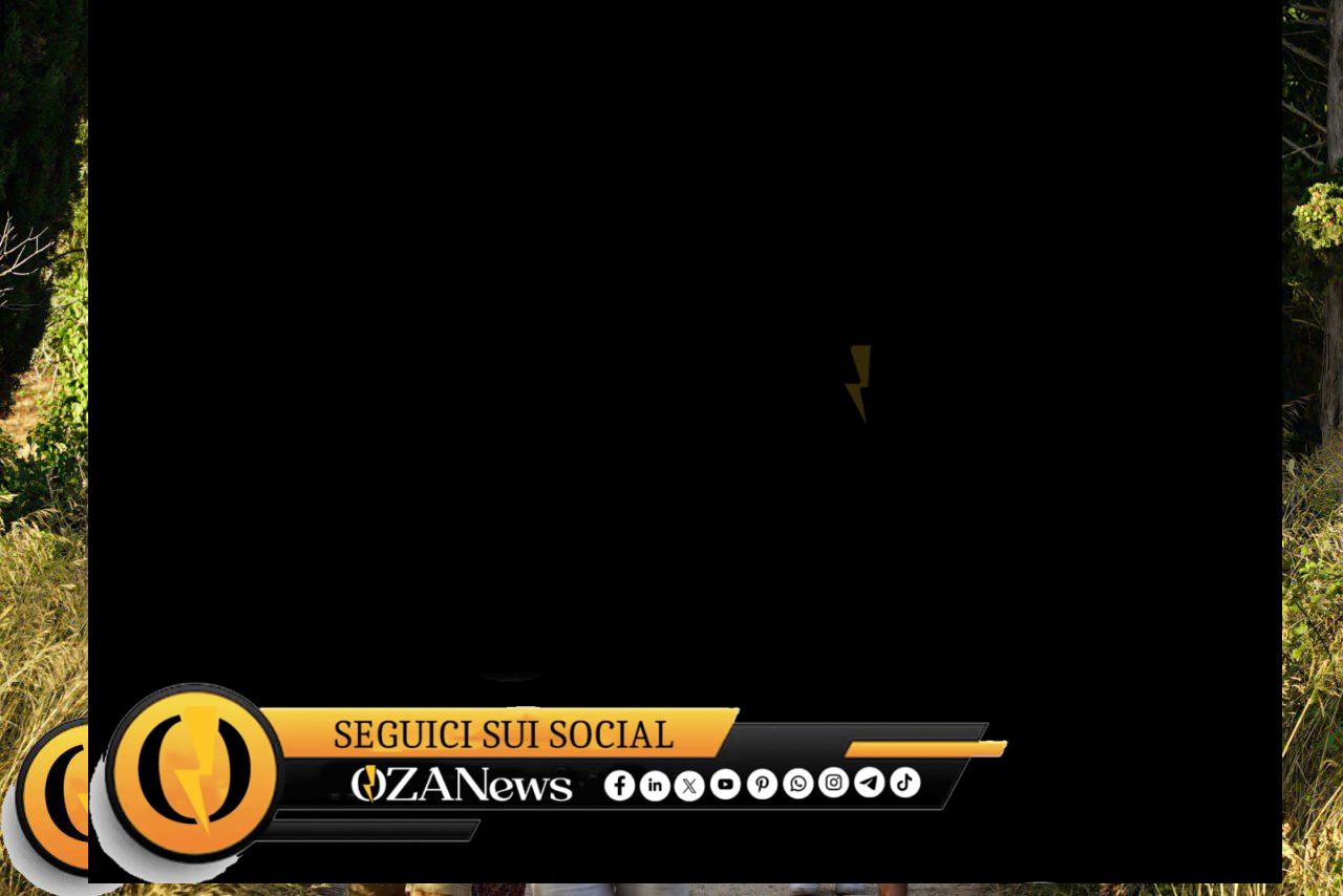 NOTTE VERDE - MARCIA DEL SEME_