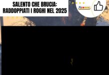 Salento che brucia: raddoppiati i roghi nel 2025 Salento fires: Wildfires burn trees in Salento, Italy. Increased Salento roghi in 2025.