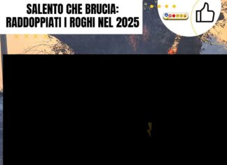 Salento che brucia: raddoppiati i roghi nel 2025 Salento fires: Wildfires burn trees in Salento, Italy. Increased Salento roghi in 2025.