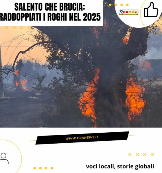 Salento fires: Wildfires burn trees in Salento, Italy. Increased Salento roghi in 2025.