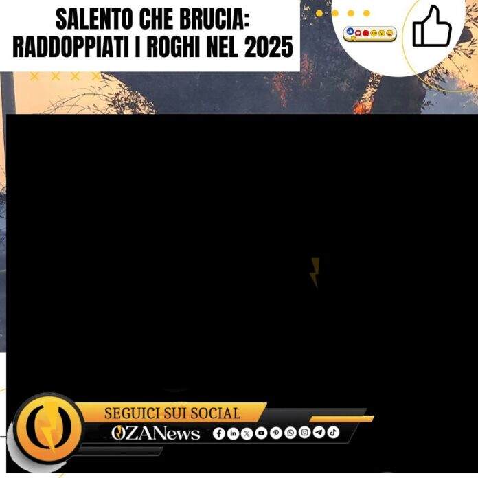 Salento che brucia raddoppiati i roghi nel 2025 Salento fires: Wildfires burn trees in Salento, Italy. Increased Salento roghi in 2025.
