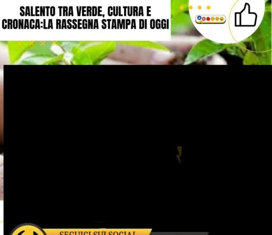 Salento tra verde, cultura e cronaca: la comunità protagonista