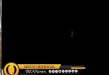 Xylella, la CIA al Governo: “Il Salento sia riconosciuto come zona svantaggiata”