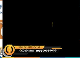 Arpal Puglia lancia “Arpalaurea”: un ponte tra giovani laureati e imprese locali