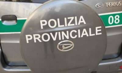 Piano di prevenzione con autovelox, telelaser e postazioni fisse: i calendari del mese di novembre