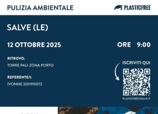Pulizia ambientale a Torre Pali il 12 ottobre 2025 Pulizia ambientale a Torre Pali il 12 ottobre 2025