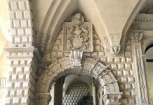 A Lecce il Festival dell’Inclusione 2024 “Occhi per vederli”: in Provincia la presentazione del Festival dell’Appartenenza e dell’Inclusione