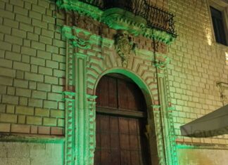 Palazzo Adorno si illumina per la salute mentale Giornata mondiale della salute mentale: anche la Provincia di Lecce si illumina di verde