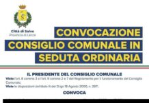 Consiglio comunale straordinario a Salve Consiglio comunale straordinario in diretta il 16 ottobre