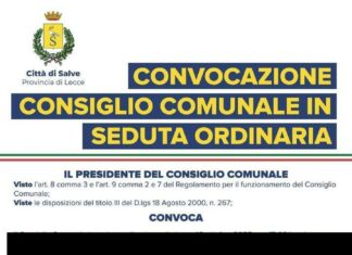 Consiglio comunale straordinario a Salve Consiglio comunale straordinario in diretta il 16 ottobre