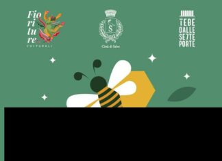 Il teatro delle api incanta grandi e piccoli a Salve Il teatro delle api incanta grandi e piccoli a Salve