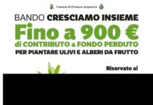 Presicce-Acquarica, approvata la graduatoria del bando “Cresciamo Insieme” Nuove regole per rifiuti e decoro urbano a Presicce-Acquarica