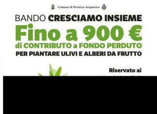 Presicce-Acquarica, approvata la graduatoria del bando “Cresciamo Insieme” Nuove regole per rifiuti e decoro urbano a Presicce-Acquarica