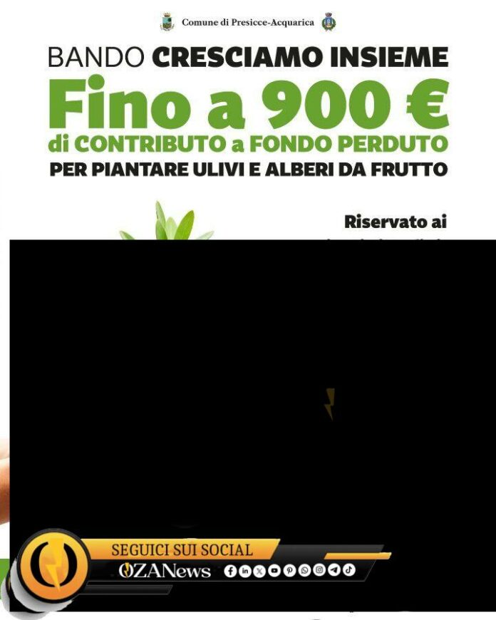 Nuove regole per rifiuti e decoro urbano a Presicce-Acquarica