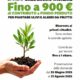 Nuove regole per rifiuti e decoro urbano a Presicce-Acquarica