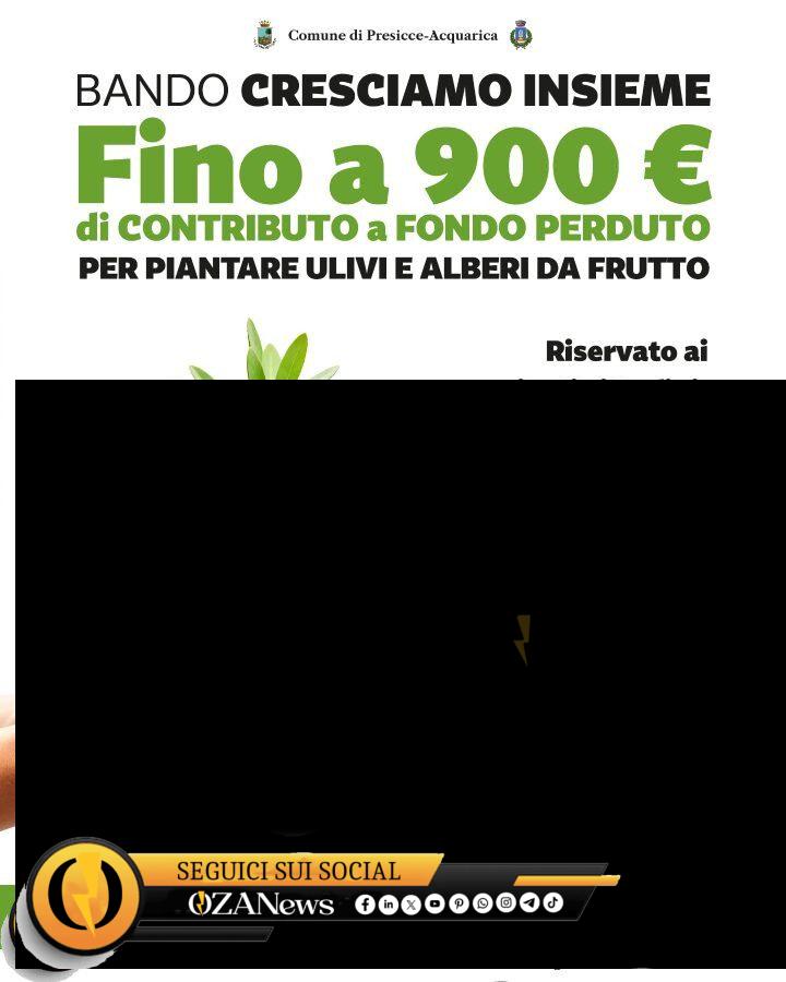 Presicce-Acquarica, approvata la graduatoria del bando “Cresciamo Insieme” Nuove regole per rifiuti e decoro urbano a Presicce-Acquarica
