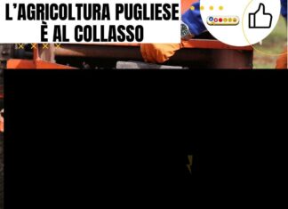 Agricoltura al collasso: la rabbia e la dignità degli agricoltori pugliesi