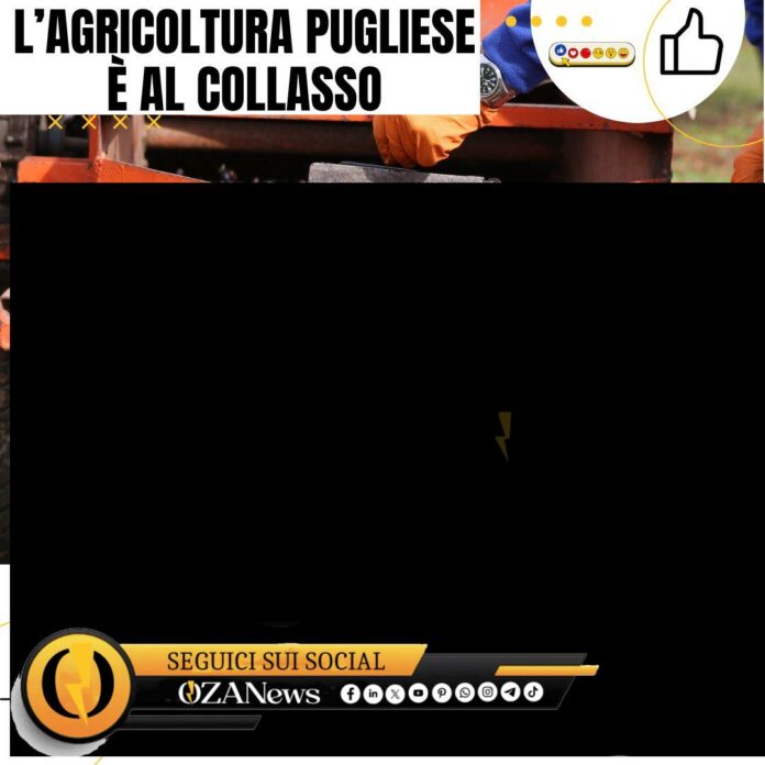 l’agricoltura pugliese è al collasso