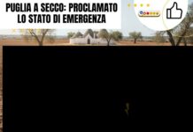 Puglia a secco: proclamato lo stato di emergenza Dry Puglia landscape with cracked earth, wells, and trulli. Drought emergency in Puglia.