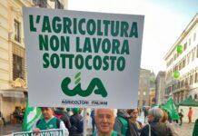 Import in crescita: “Sempre meno grano italiano nei nostri piatti”