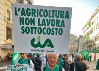 Import in crescita: “Sempre meno grano italiano nei nostri piatti”