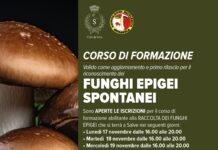 Corso micologico a Salve: al via le iscrizioni 2025 Corso micologico a Salve al via le iscrizioni 2025