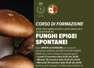 Corso micologico a Salve: al via le iscrizioni 2025 Corso micologico a Salve al via le iscrizioni 2025