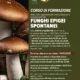 Corso micologico a Salve al via le iscrizioni 2025