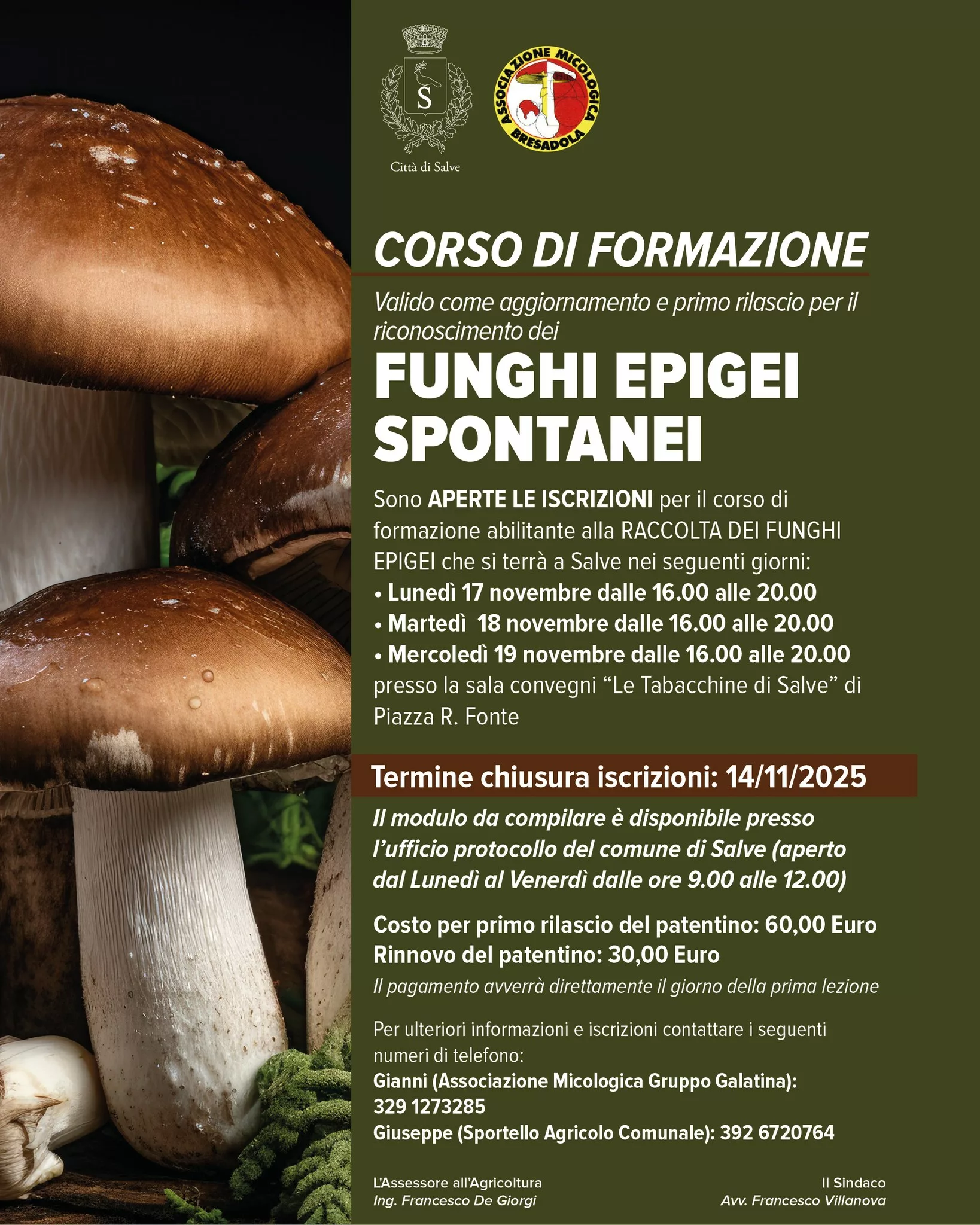 Corso micologico a Salve: al via le iscrizioni 2025 Corso micologico a Salve al via le iscrizioni 2025