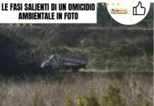 Le fasi salienti di un omicidio ambientale in foto