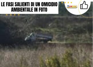 Le fasi salienti di un omicidio ambientale in foto