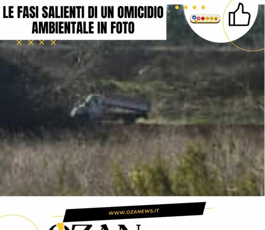 Le fasi salienti di un omicidio ambientale in foto