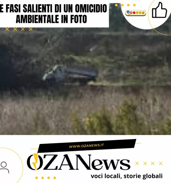 Le Fasi Salienti Di Un Omicidio Ambientale In Foto