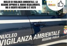 Nucleo di Vigilanza Ambientale, la Regione approva il nuovo regolamento. Ma a Ugento nessuno si è visto