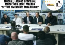 Regionali, Lobuono incontra gli agricoltori a Lecce. Pagliaro: “Settore dimenticato dalla Regione” Regionali, Lobuono incontra gli agricoltori a Lecce. Pagliaro: "Settore dimenticato dalla Regione"