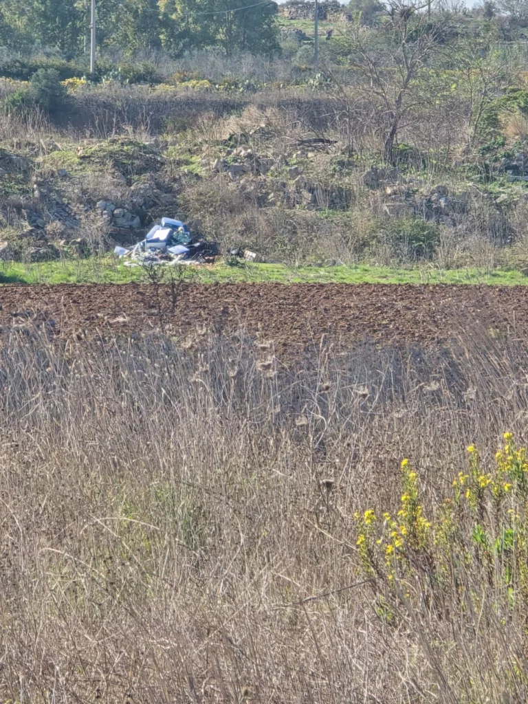 WhatsApp Image 2025 11 06 At 10.57.22 768x1024