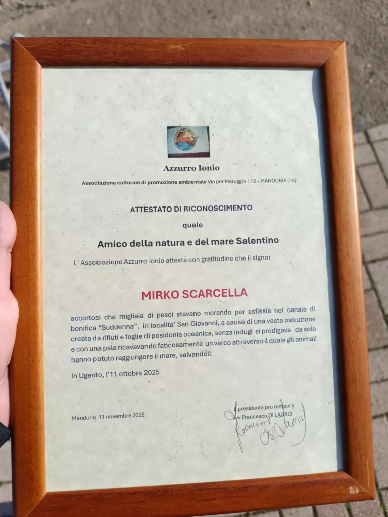 WhatsApp Image 2025 11 21 At 10.22.04 1 768x1024