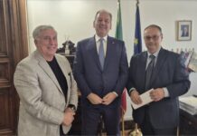 Olio pugliese: speculazioni e contraffazioni minacciano il settore