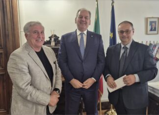 Olio pugliese: speculazioni e contraffazioni minacciano il settore