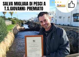 Salva migliaia di pesci a T.s.Giovanni: premiato Mirko Scarcella Eroe salva pesci a Torre San Giovanni
