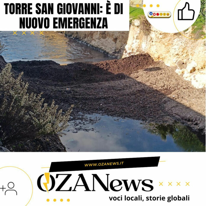 Torre San Giovanni: canale bloccato Torre San Giovanni: canale bloccato