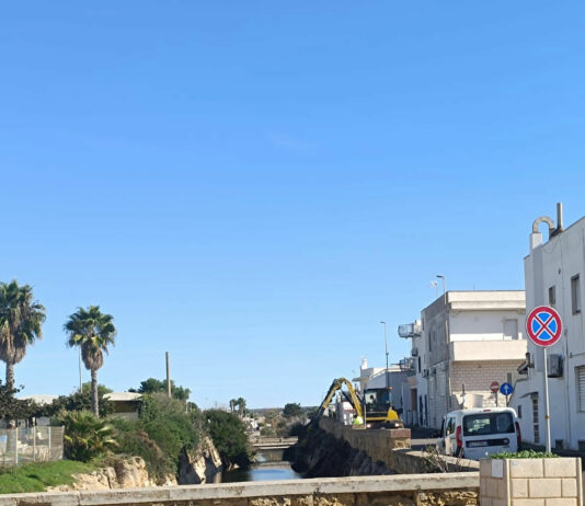 Torre San Giovanni: consorzio al lavoro sul canale ma serve soluzione definitiva Torre San Giovanni: Canale, intervento ma non basta