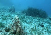 Ugento candida un progetto da 450mila euro per la salvaguardia del suo Litorale Ugento tutela il mare: progetto da 450mila euro