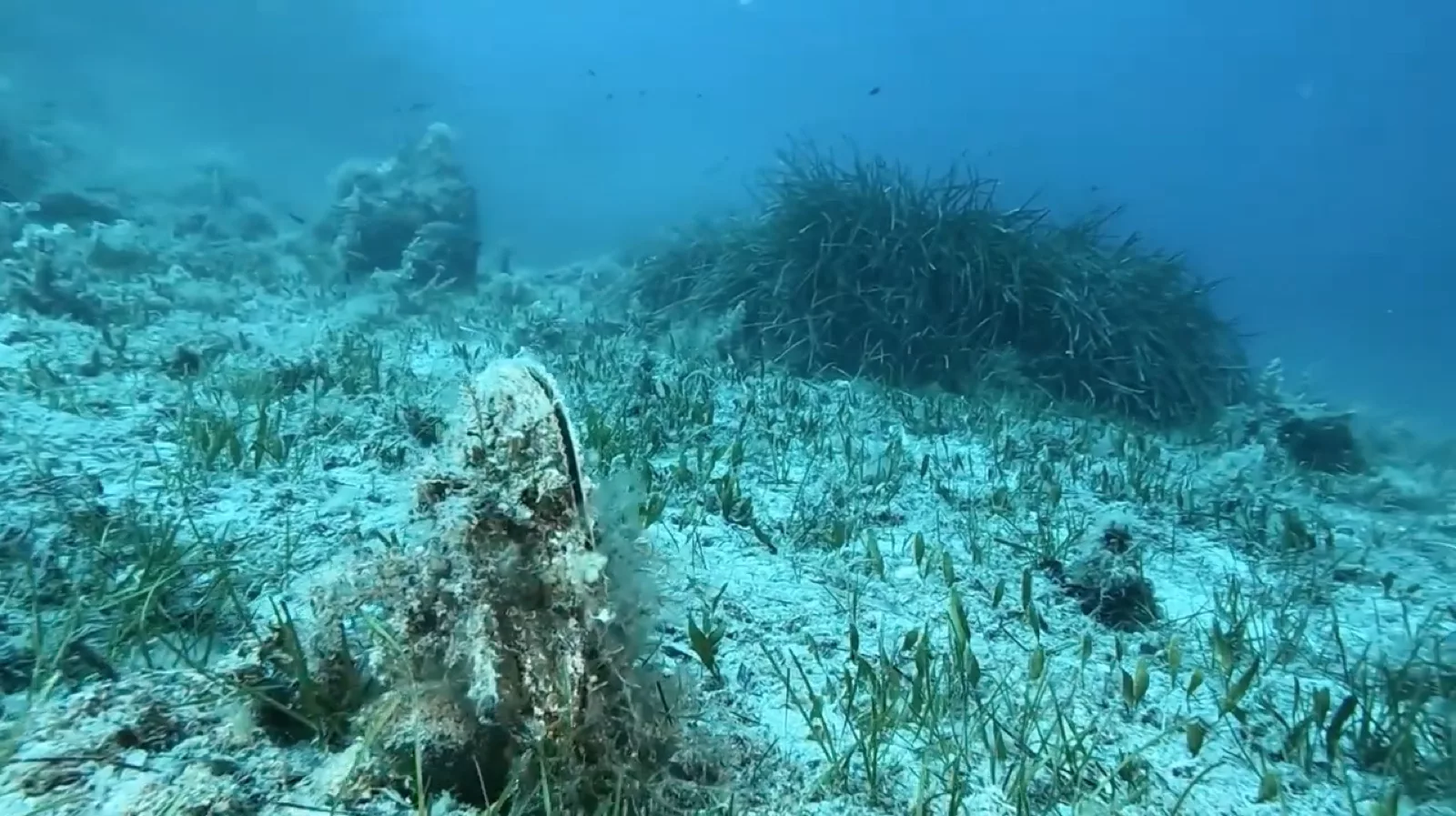 Ugento candida un progetto da 450mila euro per la salvaguardia del suo Litorale Ugento tutela il mare: progetto da 450mila euro