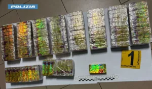 Foto Panetti Stupefacenti 1 Logo 300x175