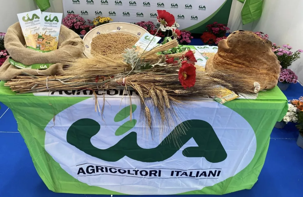 Grano Cia Puglia 1024x667