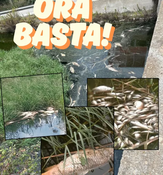 Moria Pesci Ugento Richiesta Minoranza